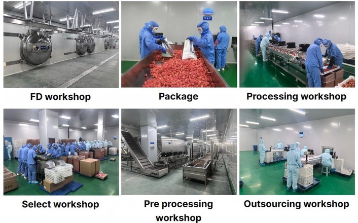 freeze dried fruit processing freeze dried fruit processing